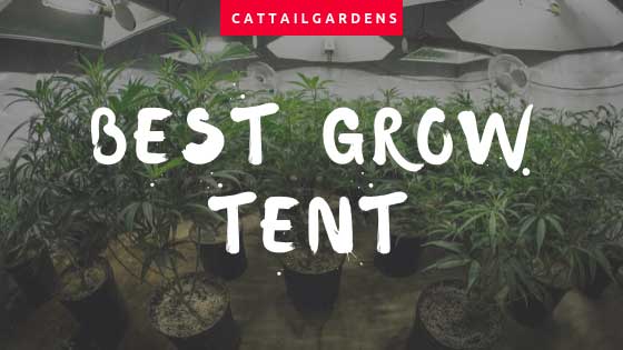 best grow tent