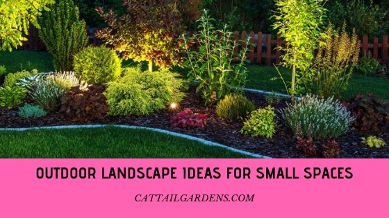 outdoor landscape ideas for small spaces
