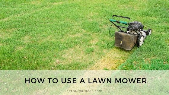 lawn mower 2020