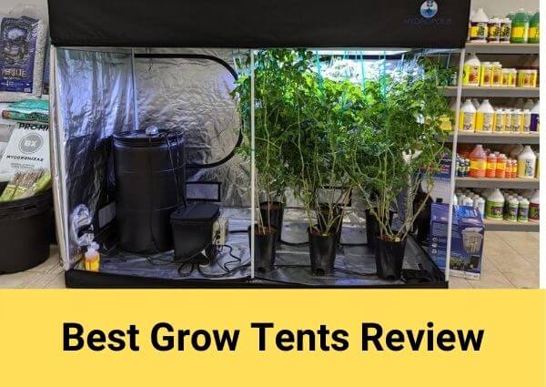 Best Grow Tents Review