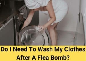 Do I need to wash my clothes after a flea bomb