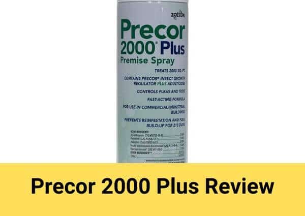 Precor 2000 Plus Review