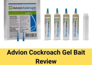 Advion Cockroach Gel Bait Review