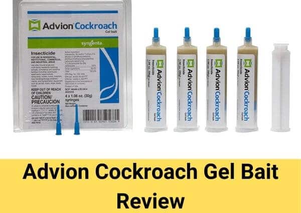Advion Cockroach Gel Bait Review