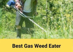 Best Gas Weed Eater 2020