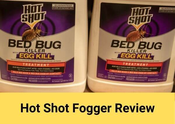 hot shot fogger review
