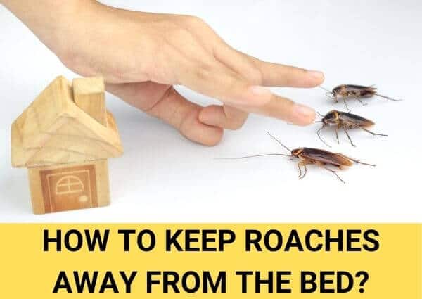 How to keep roaches away from bed