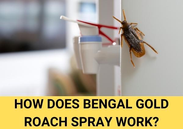 how does bengal gold roach spray work