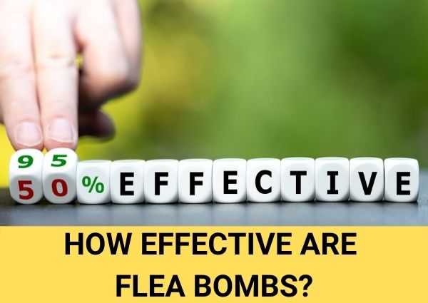 how effective are flea bombs