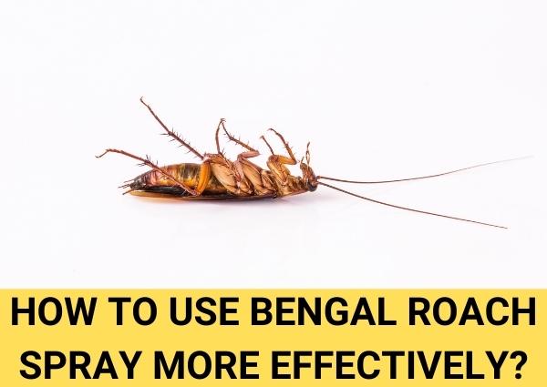 how to use bengal roach spray more effectively