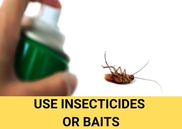 use insecticides or baits