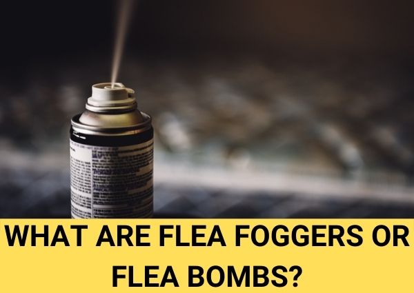 what are flea foggers or flea bombs and where are they used