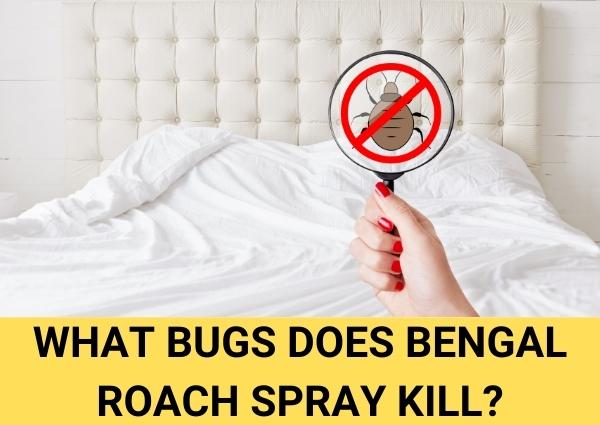 what bugs does bengal roach spray kill