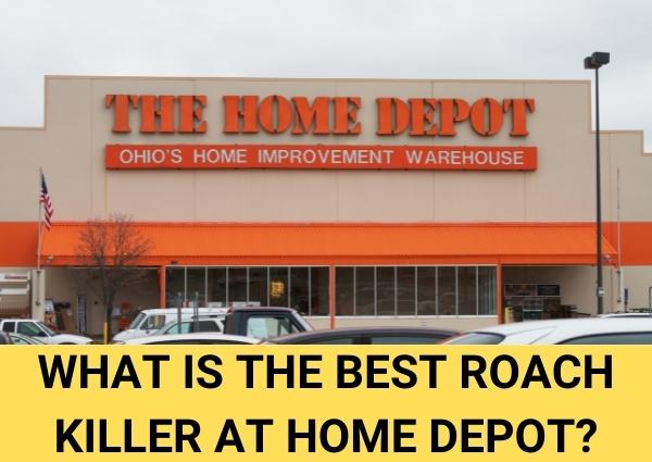 what is the best roach killer at home depot
