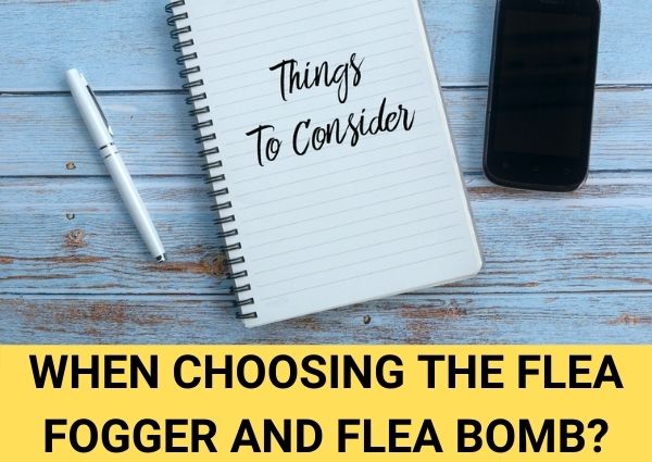what to consider when choosing the flea fogger and flea bomb?