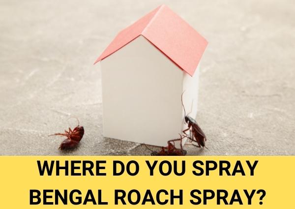 where do you spray bengal roach spray