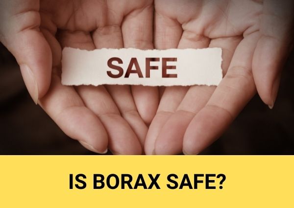 is borax safe