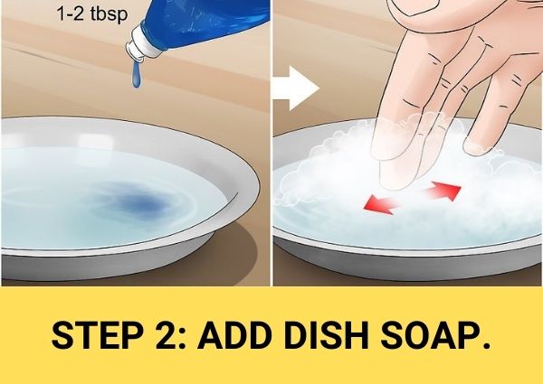 step 2 add dish soap