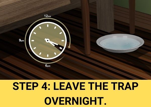 step 4 leave the trap overnight