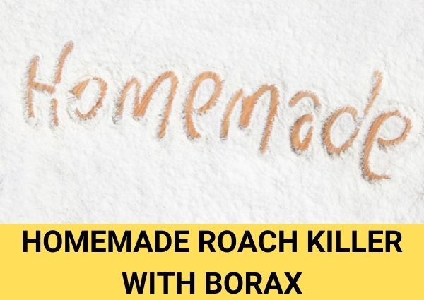 homemade roach killer with borax