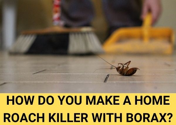 how do you make a home roach killer with borax