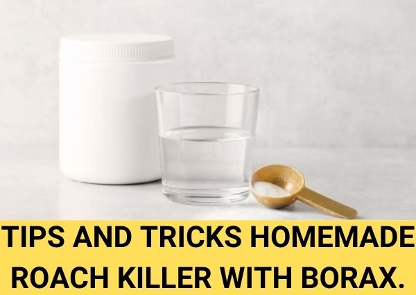 tips and tricks homemade roach killer with borax