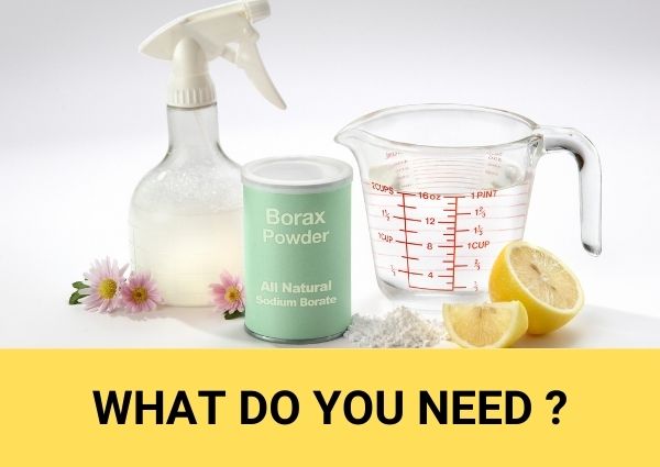 what do you need to homemade roach killer with borax